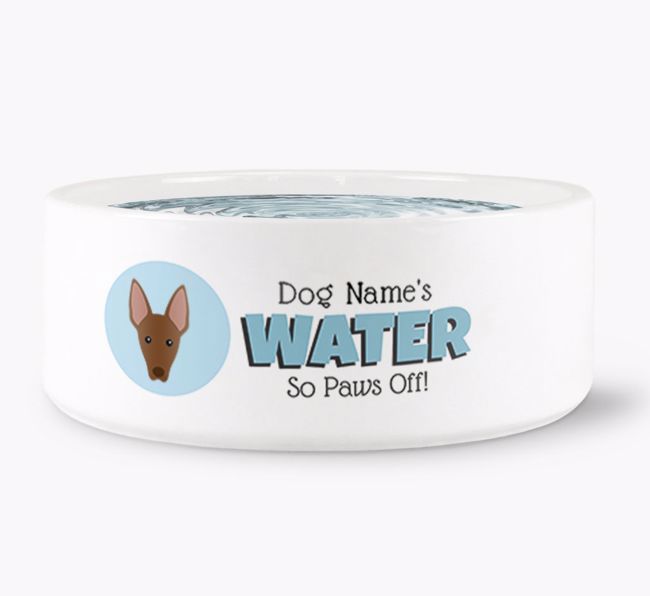 Personalised '{dogsName}'s Water' Bowl 